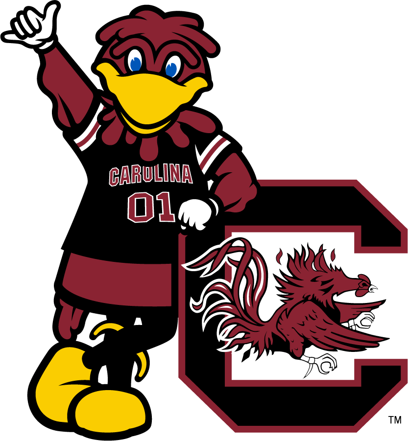 South Carolina Gamecocks 2014-2018 Mascot Logo v2 diy DTF decal sticker